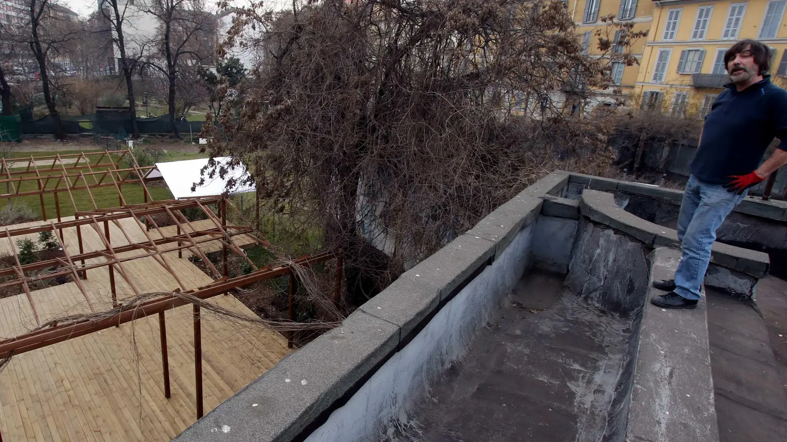 Oltre 50mila per il “gigante lilla“  Quei milanesi come Marcovaldo  "Salviamo il glicine storico"