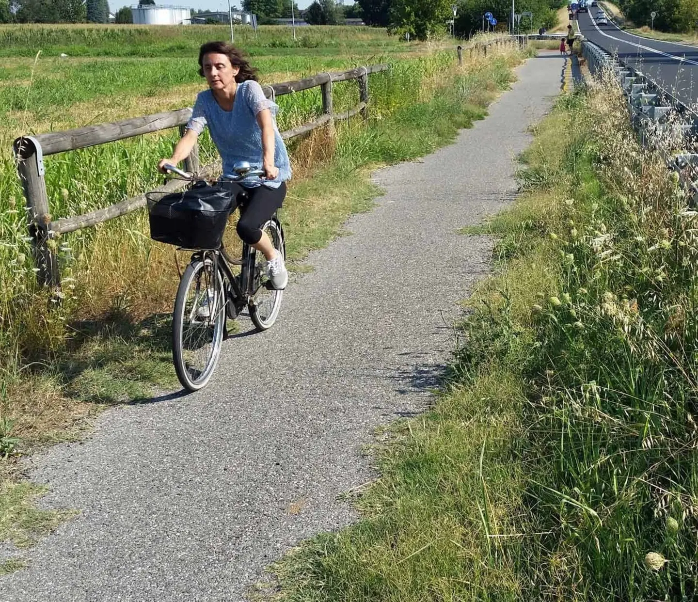 Codogno: erbacce e staccionata rotta, la ciclabile è uno scempio