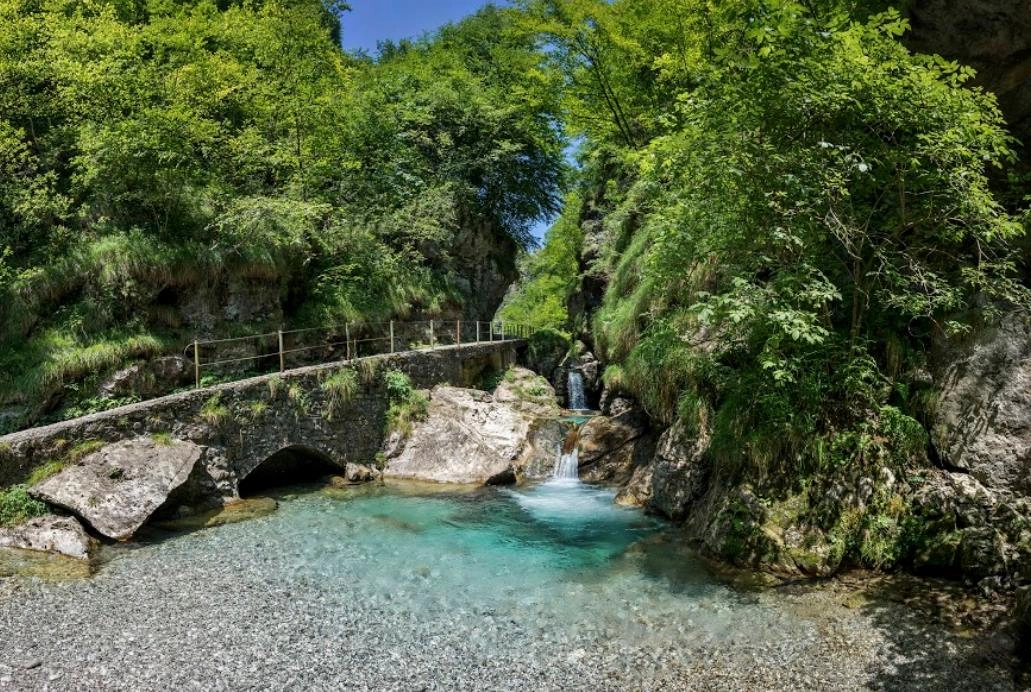 immagine di sfondo 4