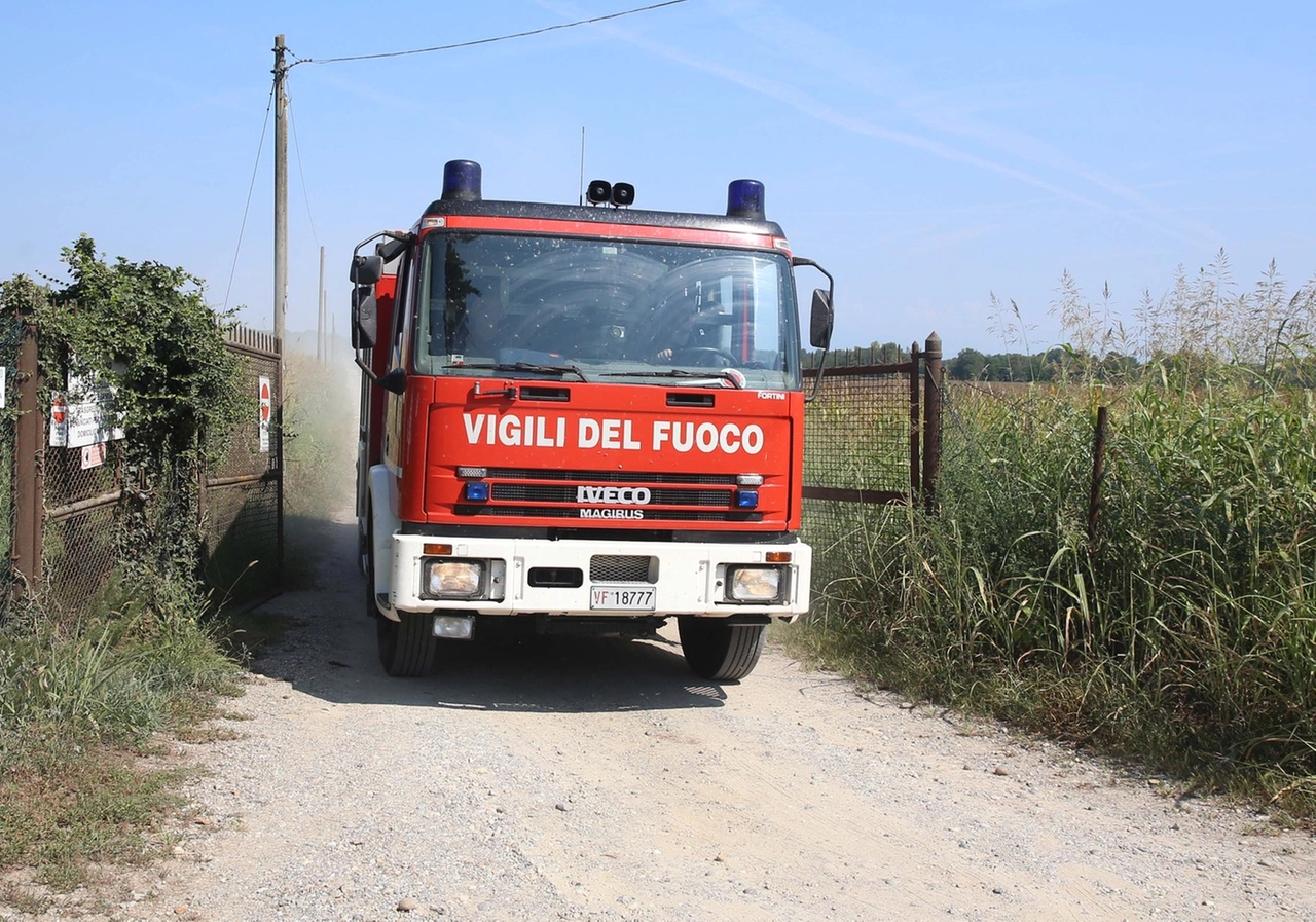 immagine di sfondo 4