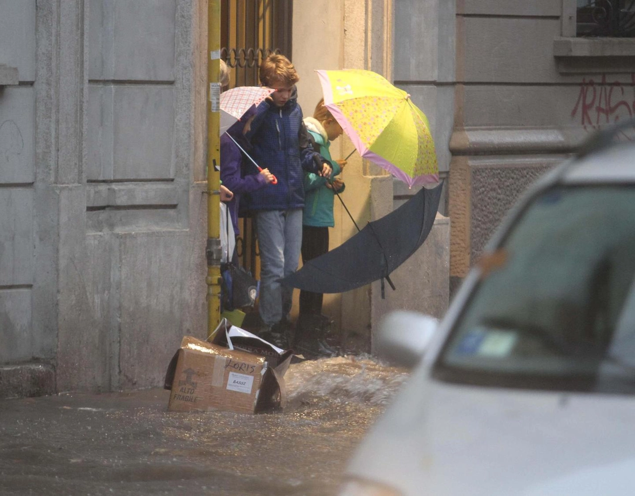 immagine di sfondo 19