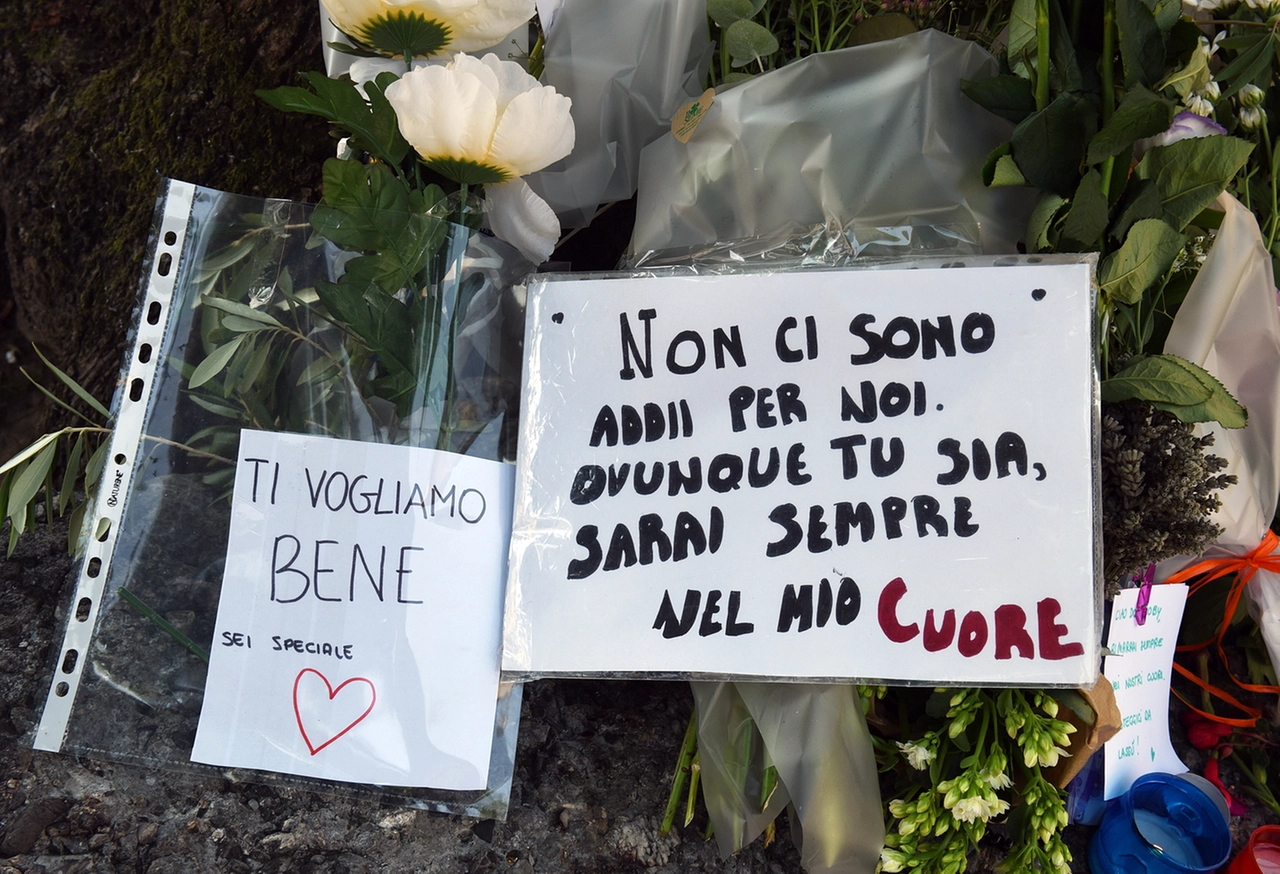 immagine di sfondo 11
