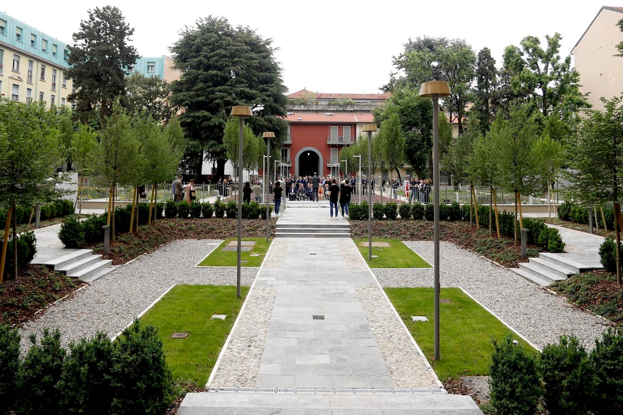 immagine di sfondo 8
