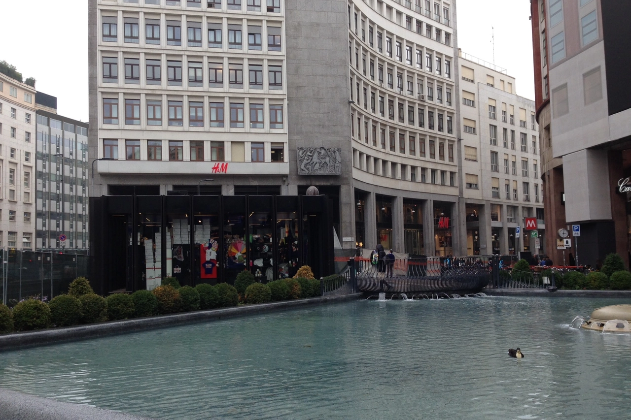 L'anatra in mezzo alla piazza