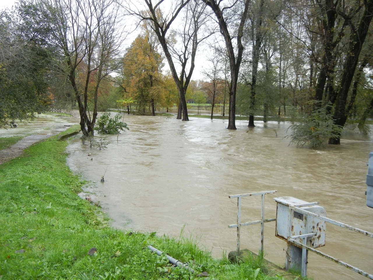 immagine di sfondo 33