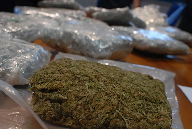Carate Brianza, 20 chili di marijuana nel doppio fondo dell'auto: tre arresti