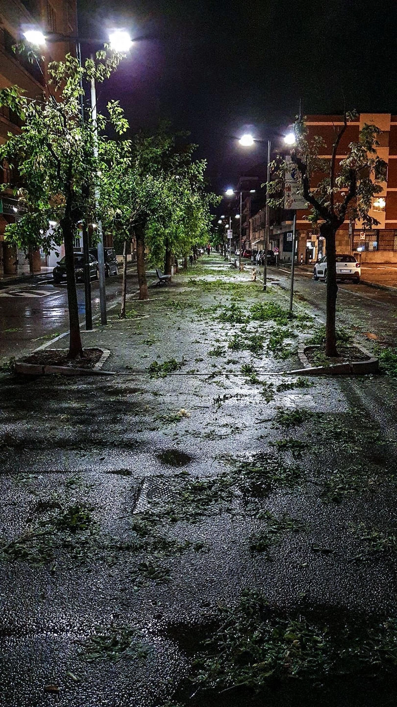 immagine di sfondo 6