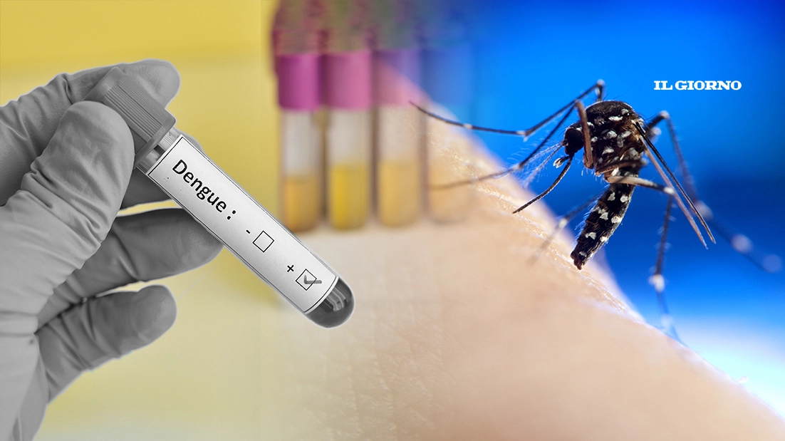 Dal 19 agosto 2023 a oggi sono 108 i casi accertati di Dengue in Lombardia
