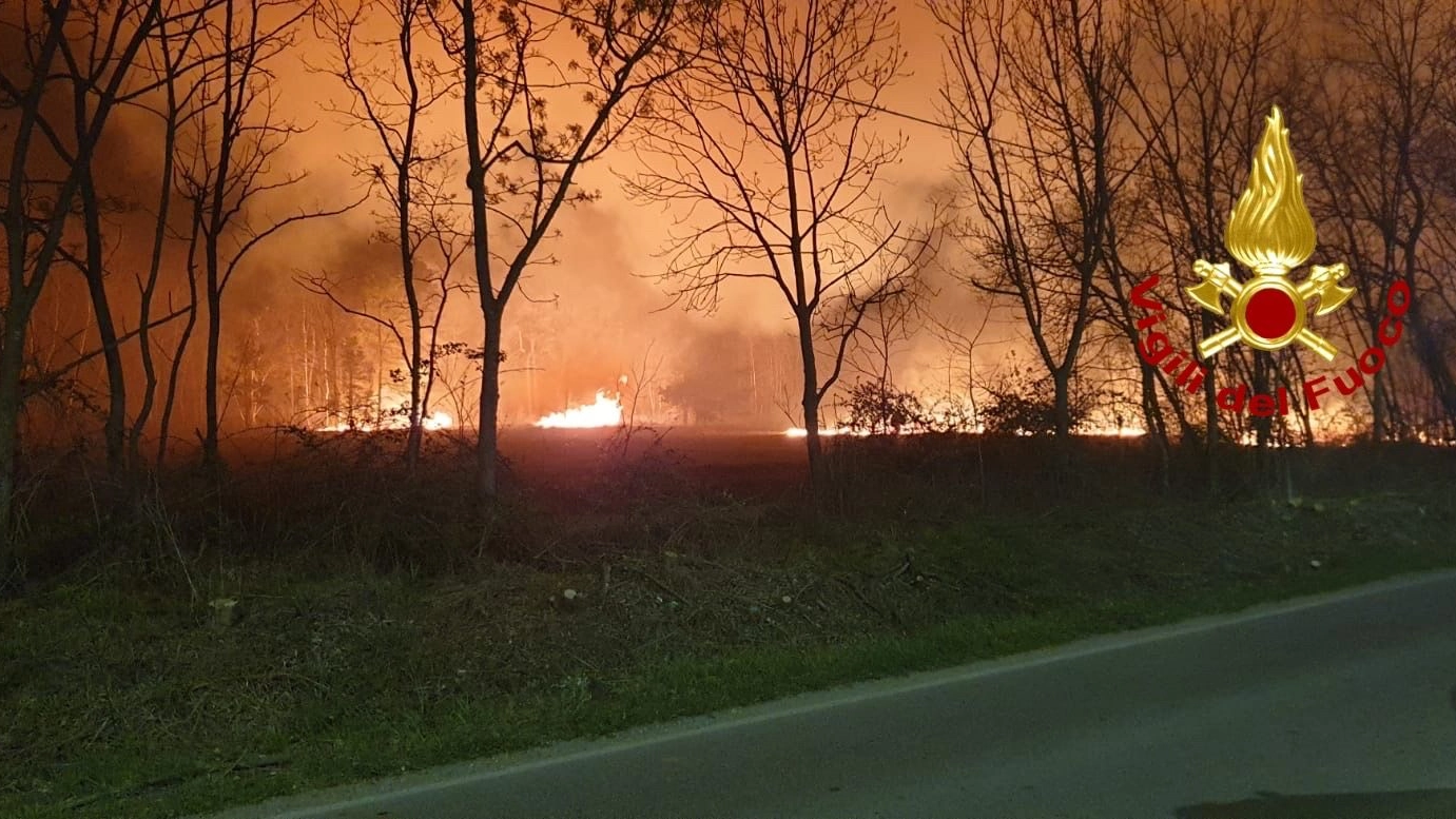 Le fiamme al Parco delle Groane