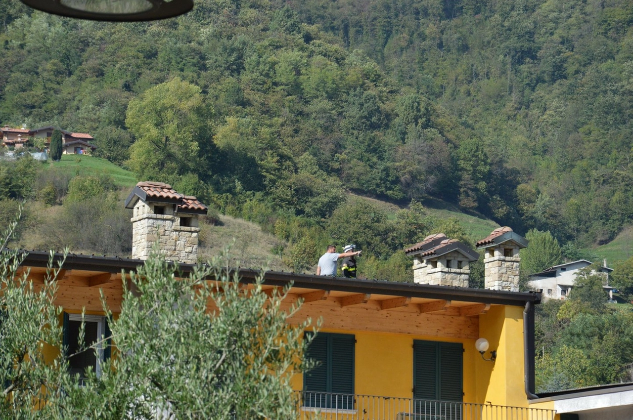 immagine di sfondo 14
