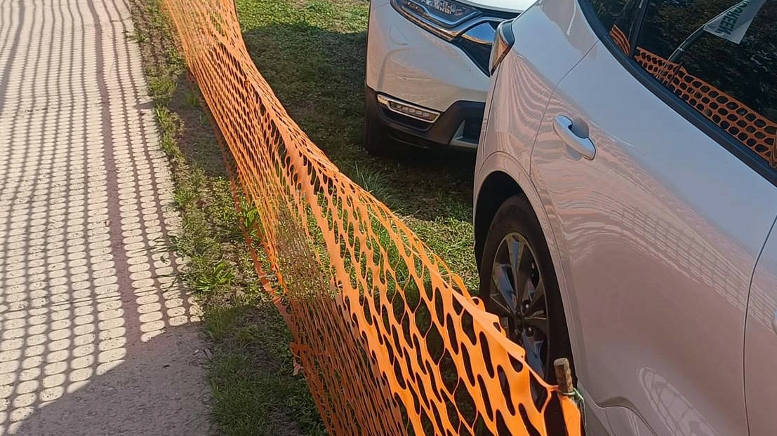 DemoGreen fa discutere. Auto in sosta sul prato DemoGreen fa discutere. Auto in sosta sul prato