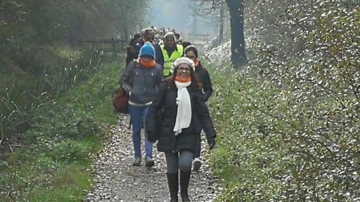 "Bosco della Besozza, tuffo nella natura" "Bosco della Besozza, tuffo nella natura"