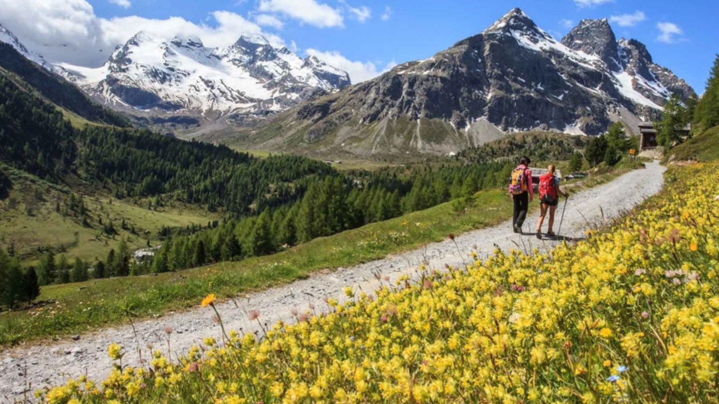 Turisti in Valtellina