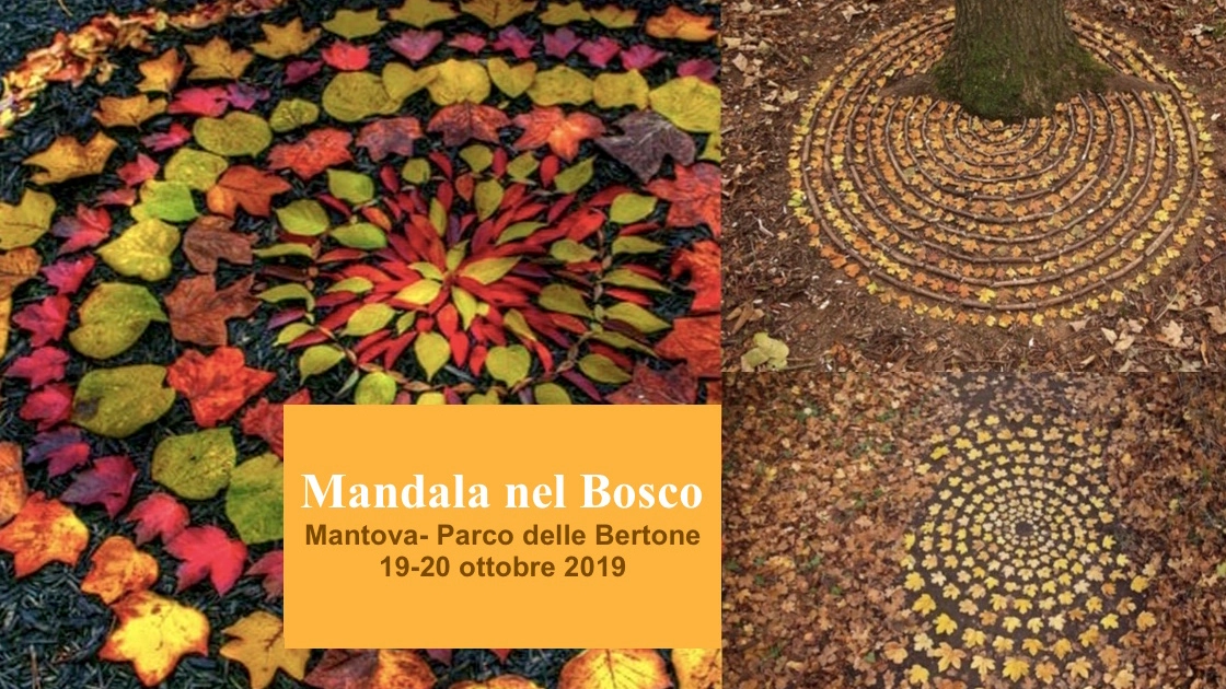 Mandala nel bosco