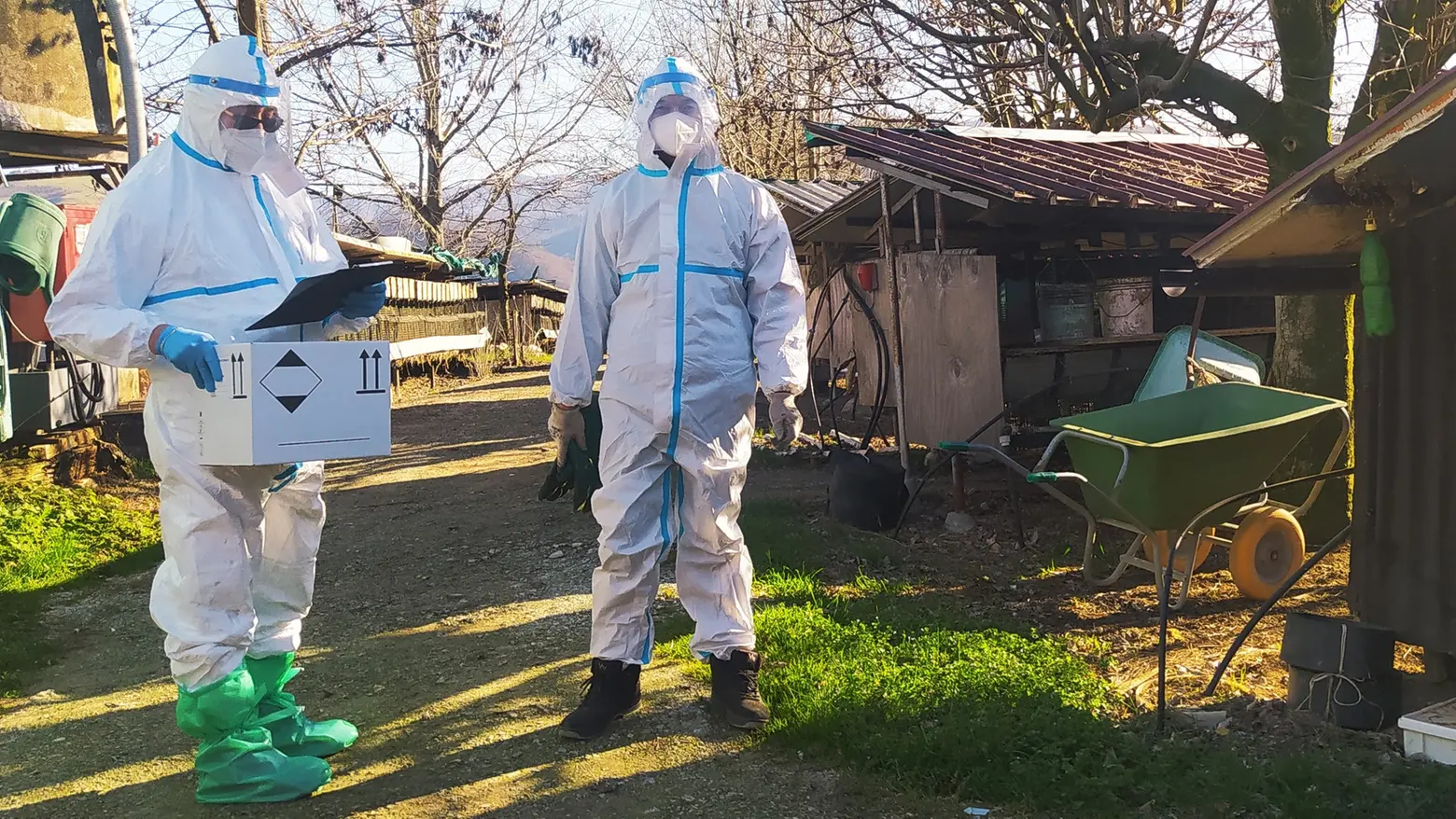 Alcuni veterinari in un'azienda che allevava visoni