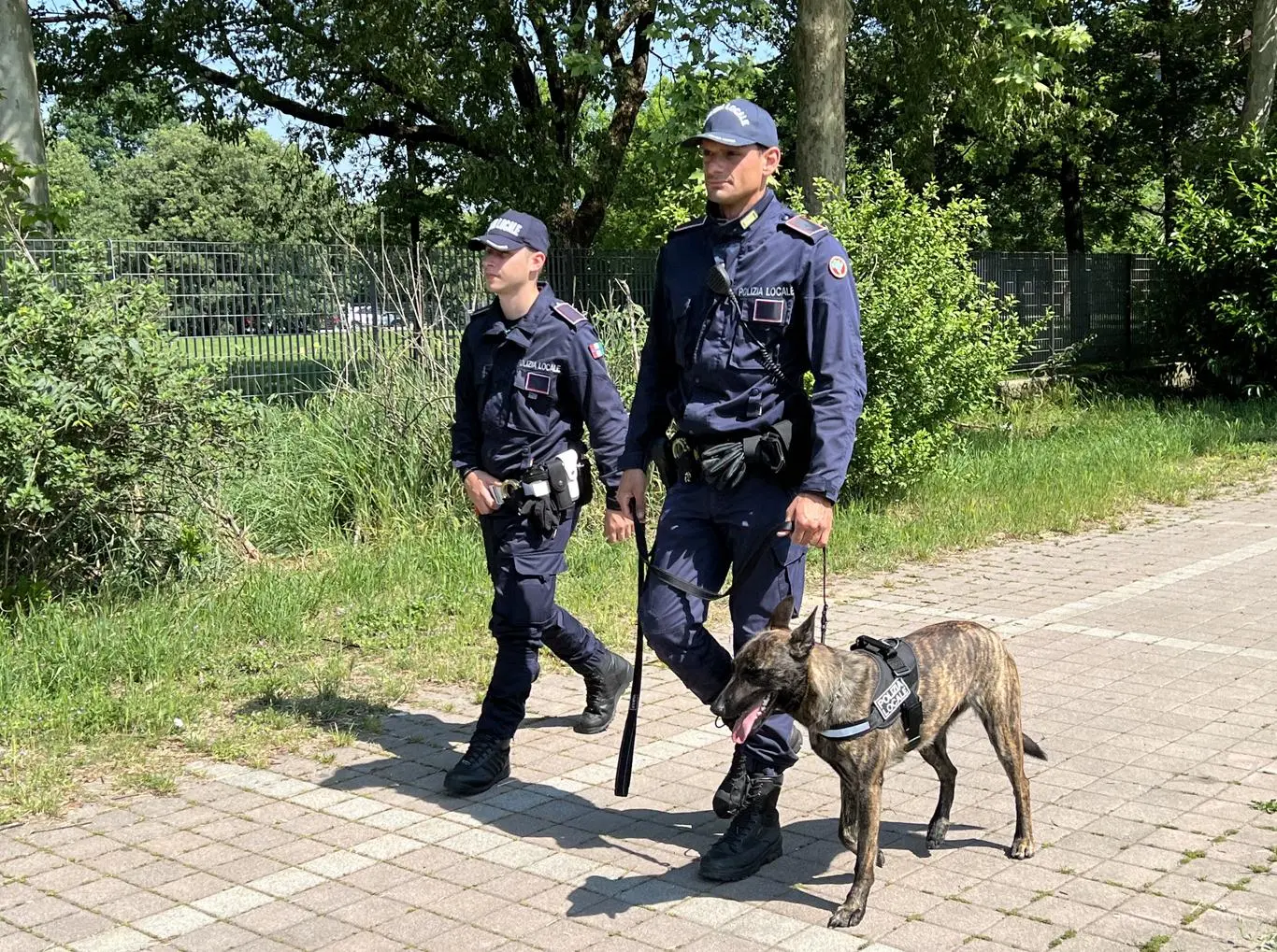 In una grondaia 25 dosi di coca
