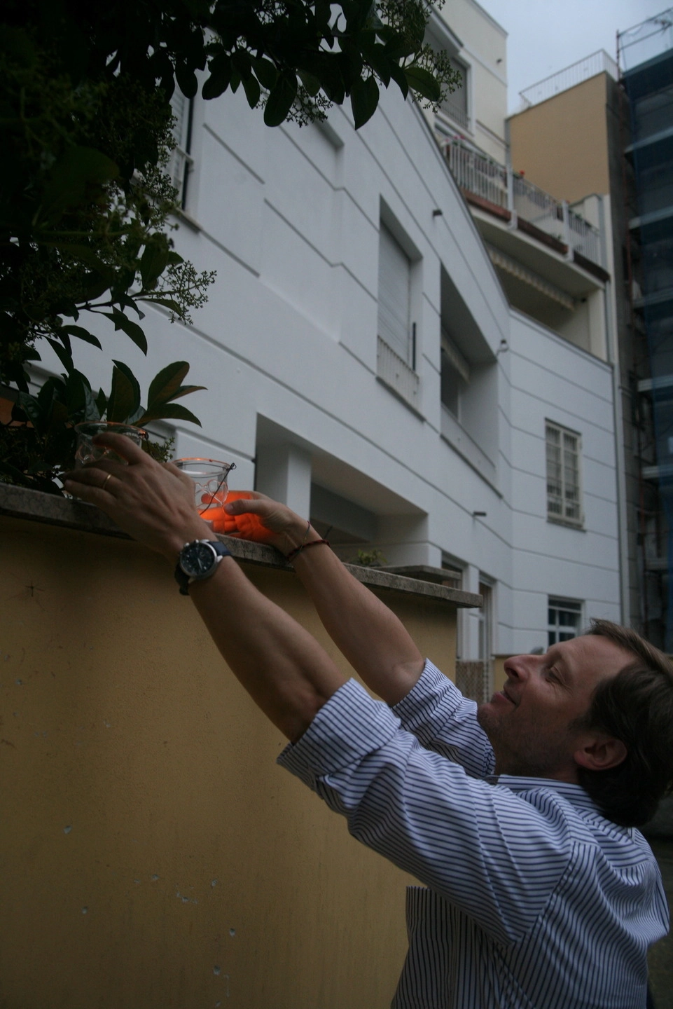 immagine di sfondo 6