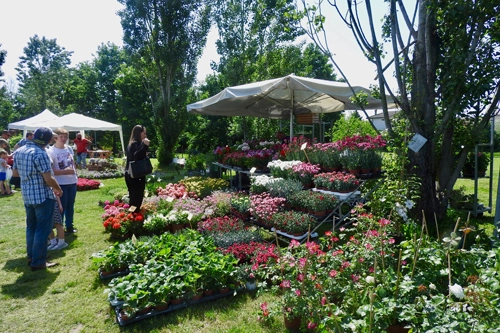 Il Fiore e il Lago, 7° Mostra mercato dei Fiori e del Verde