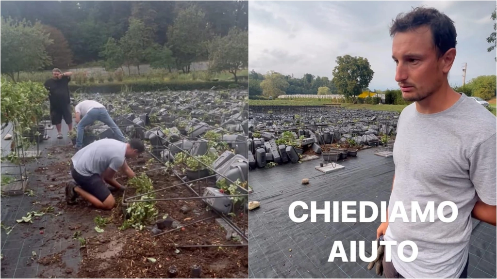 A sinistra tutti i vasi di fragole rovesciati dal maltempo, a destra Andrea Tagliabue (dal profilo Instagram TheBankersJam)
