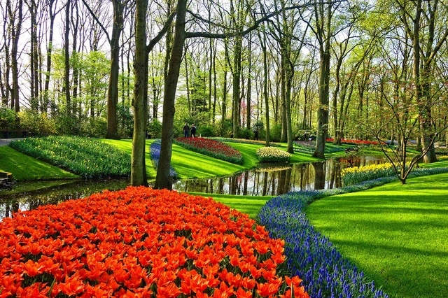 Arborshow