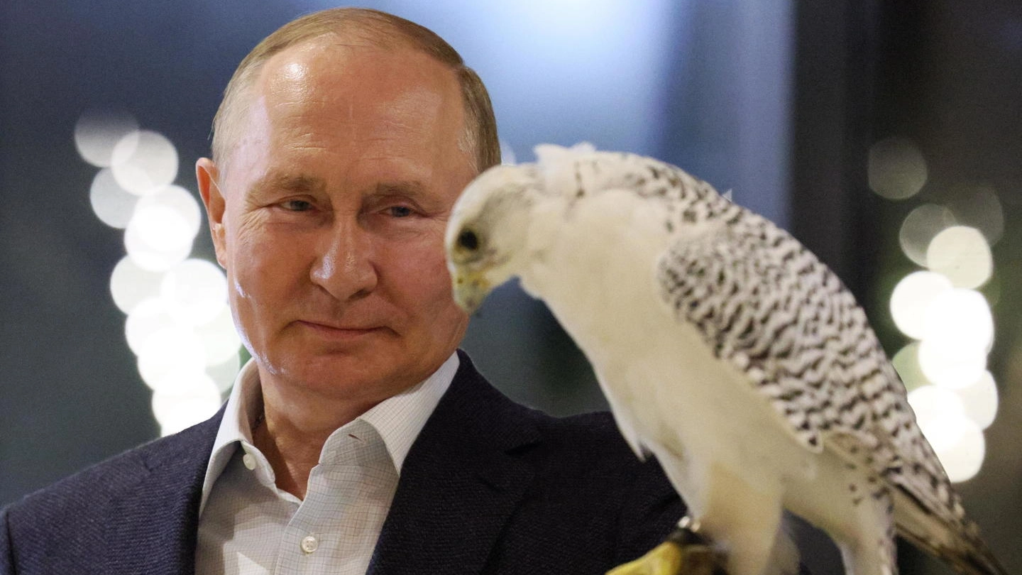 Vladimir Putin tiene un falco durante un incontro con degli ornitologi volontari (Ansa)