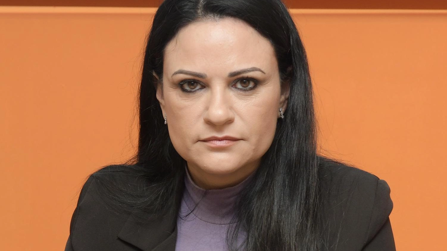 Tangenzialina sí o no via al referendum Tangenzialina sí o no via al referendum