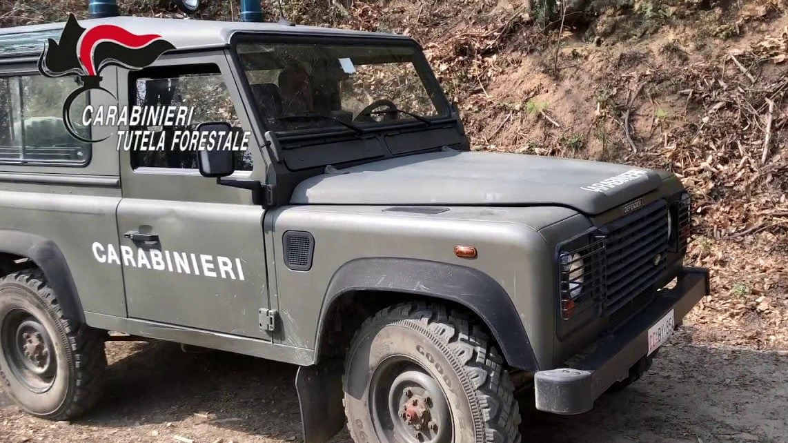 Ville abusive in un’area tutelata Otto sequestri e 16 denunce Ville abusive in un’area tutelata Otto sequestri e 16 denunce