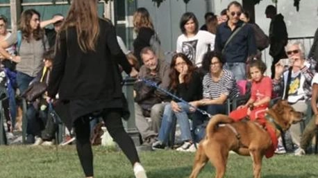 Benedizione e sfilata del cane fantasia Benedizione e sfilata del cane fantasia