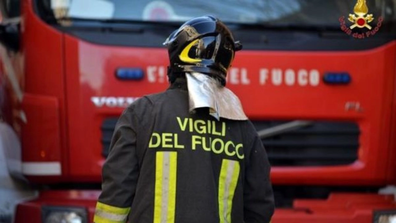 I pompieri hanno bonificato l'intera zona I pompieri hanno bonificato l'intera zona