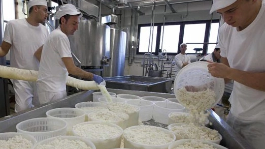 Produzione del formaggio(Foto archivio)