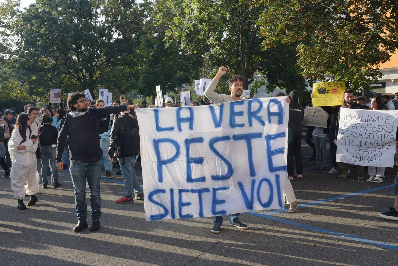 immagine di sfondo 1