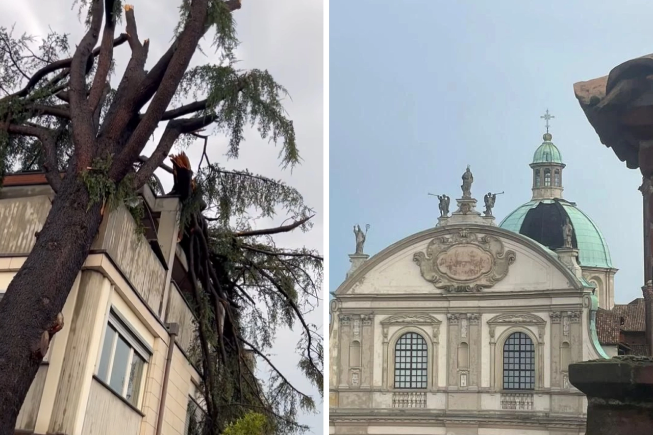 L'albero caduto e la copertura del duomo divelta dal vento