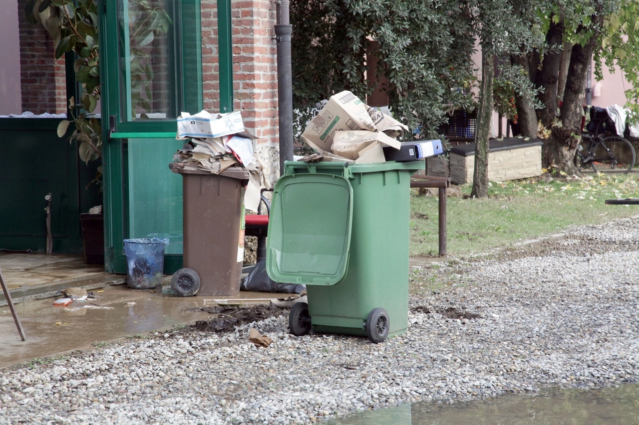 immagine di sfondo 12