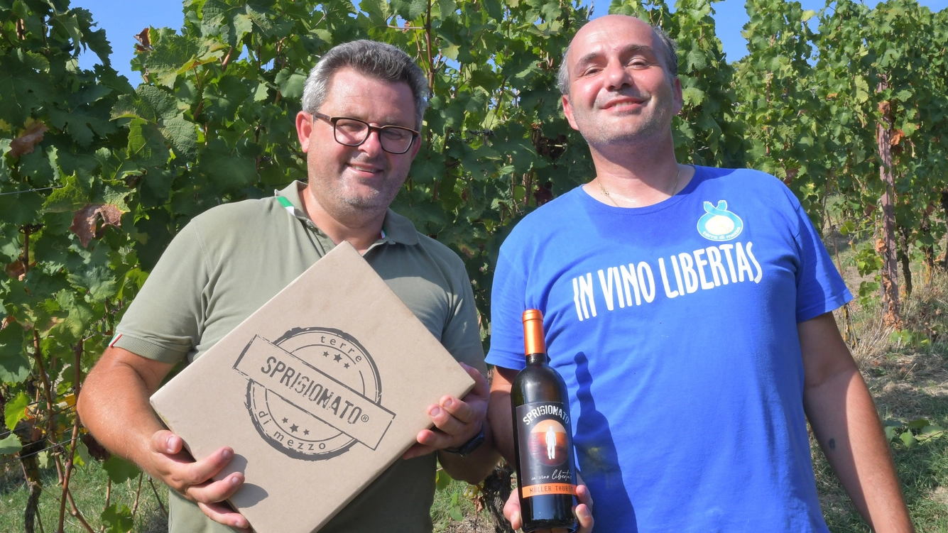 La blasonata Monsupello ospita il progetto intitolato “In vino libertas"