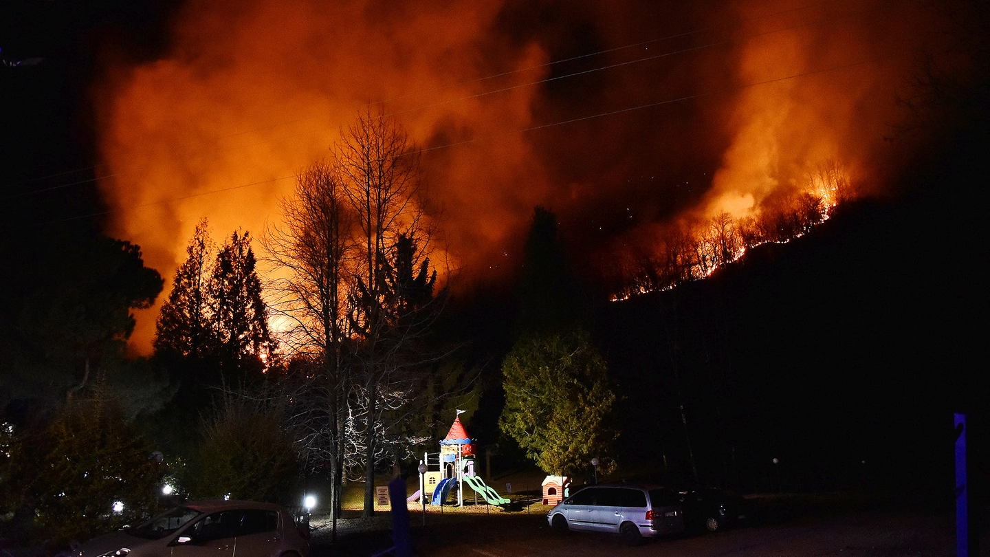 L'incendio sul Monte Martica (Newpress)