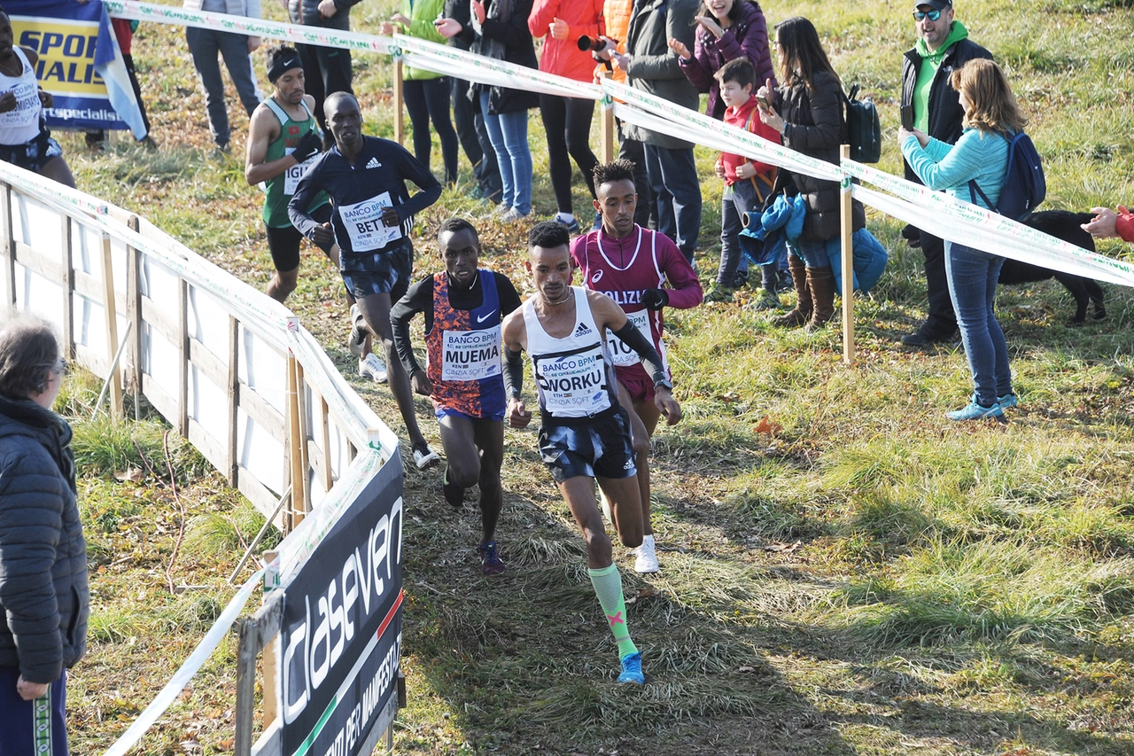 immagine di sfondo 12