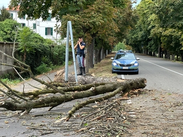Maltempo a Pavia, raffiche di vento a 70 chilometri orari: strade interrotte