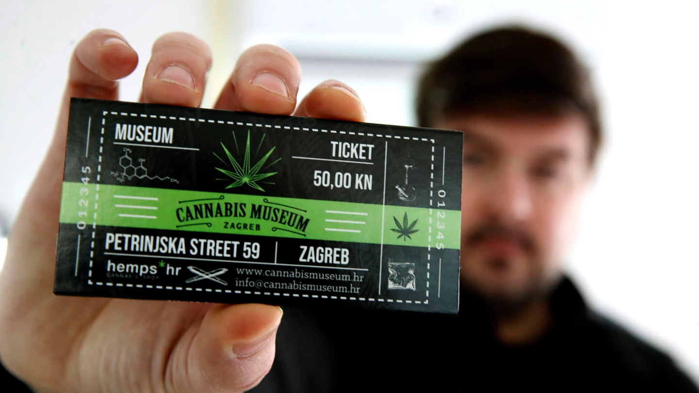 Il biglietto d'ingresso del museo della cannabis in Croazia