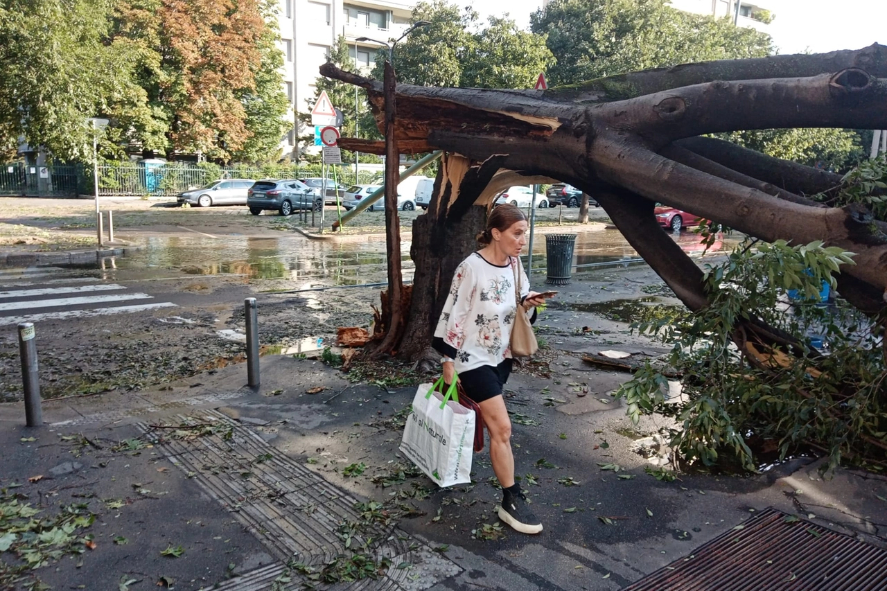 I passanti fanno slalom tra gli alberi crollati
