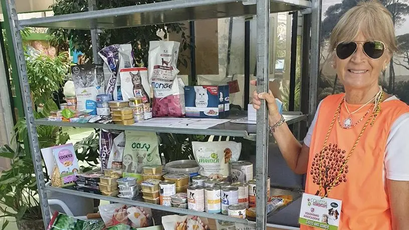 Gli Amici del Pratone  L’associazione specializzata  nel salvare cani in difficoltà