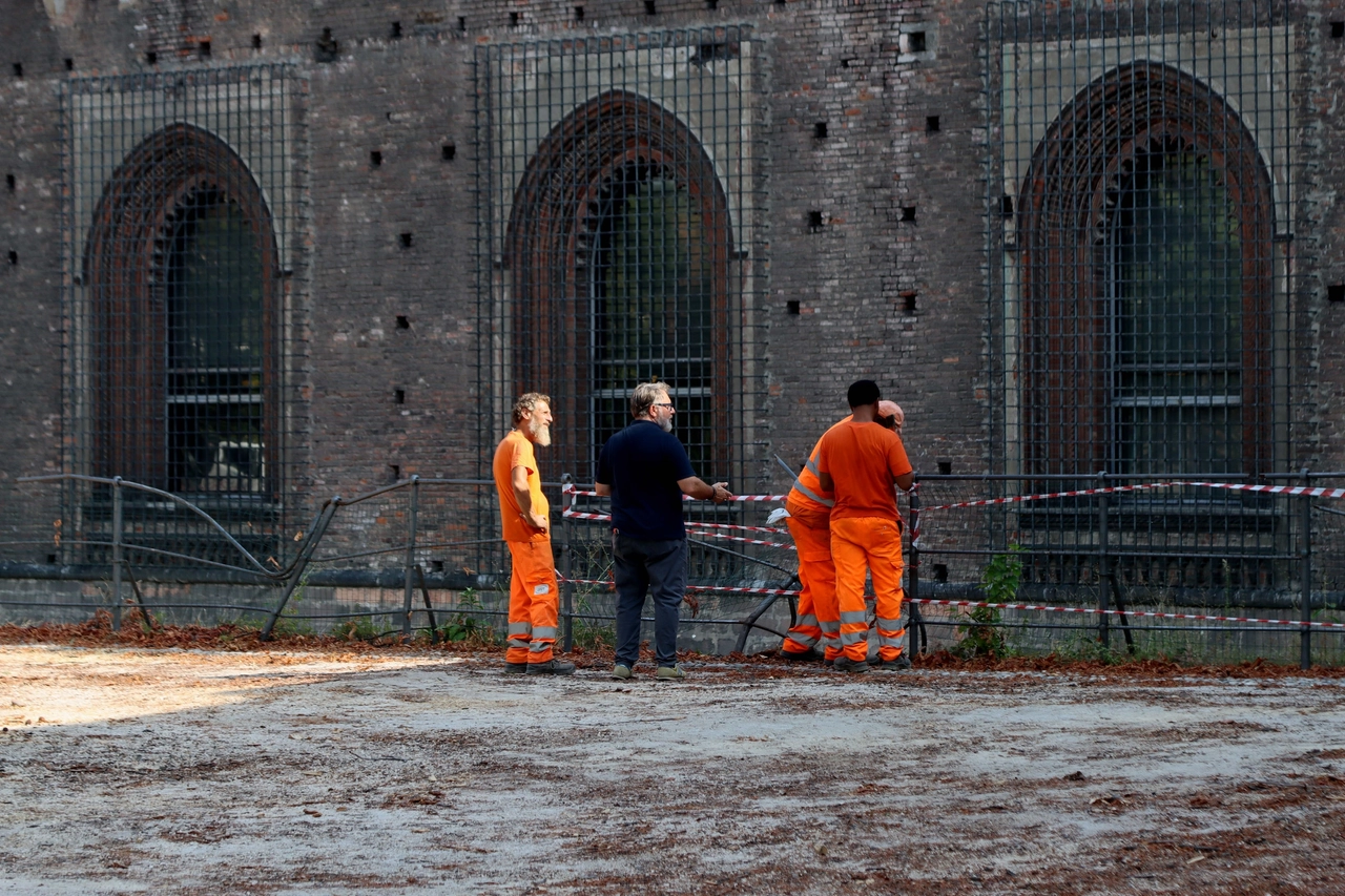 immagine di sfondo 11