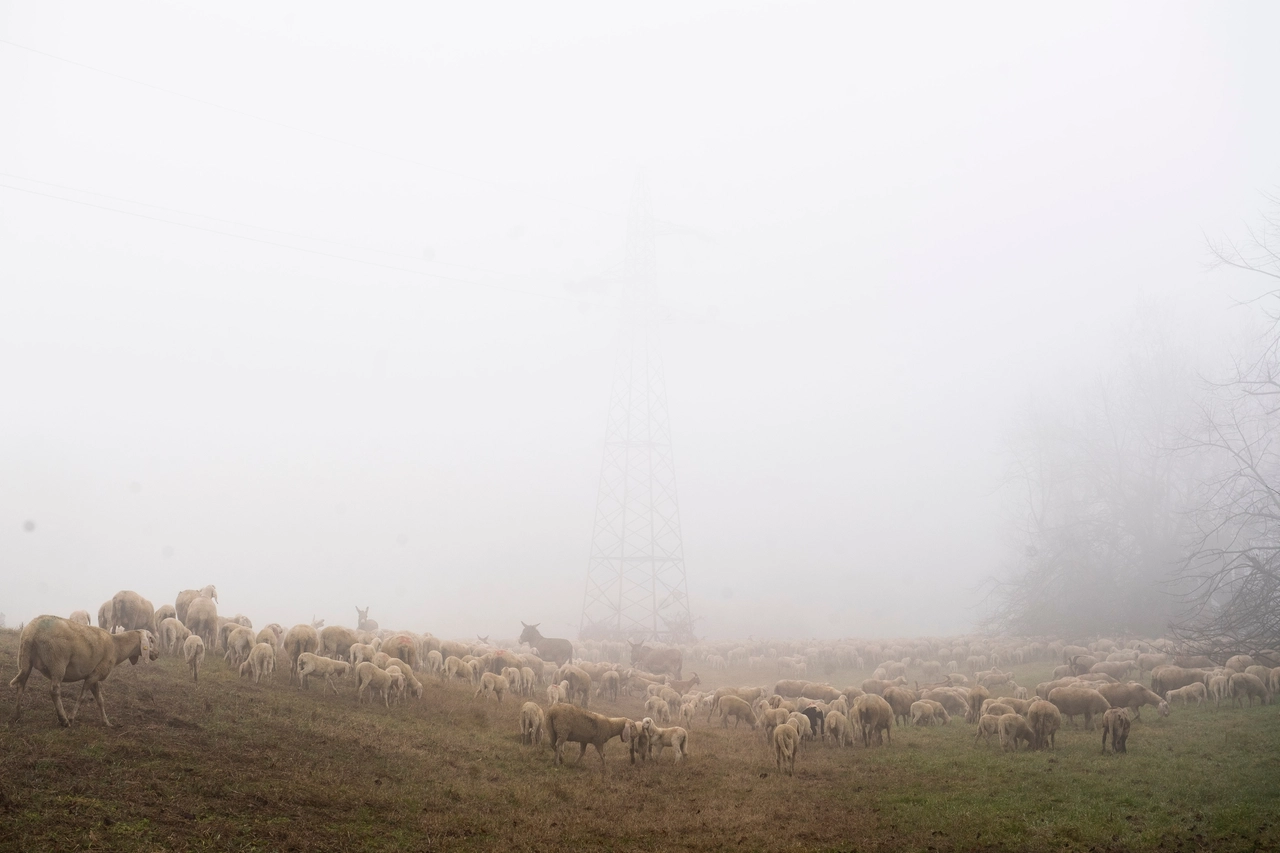 immagine di sfondo 7