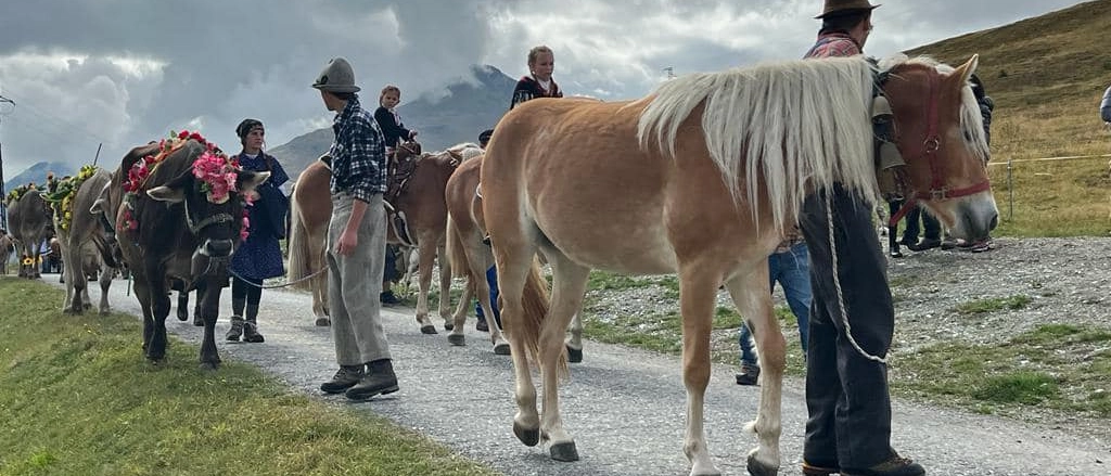 La transumanza, le sagre ma anche il trekking e la raccolta di funghi e castagne stanno attirando migliaia di turisti in quota