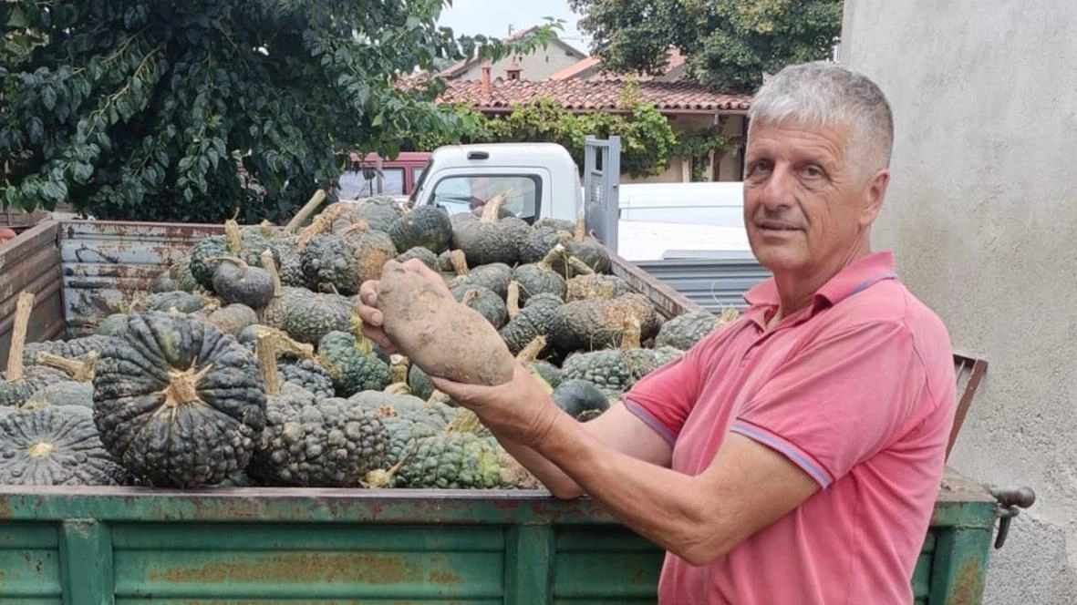 La fantasia in cascina. Un labirinto nel mais per uscire anche dalla crisi La fantasia in cascina. Un labirinto nel mais per uscire anche dalla crisi