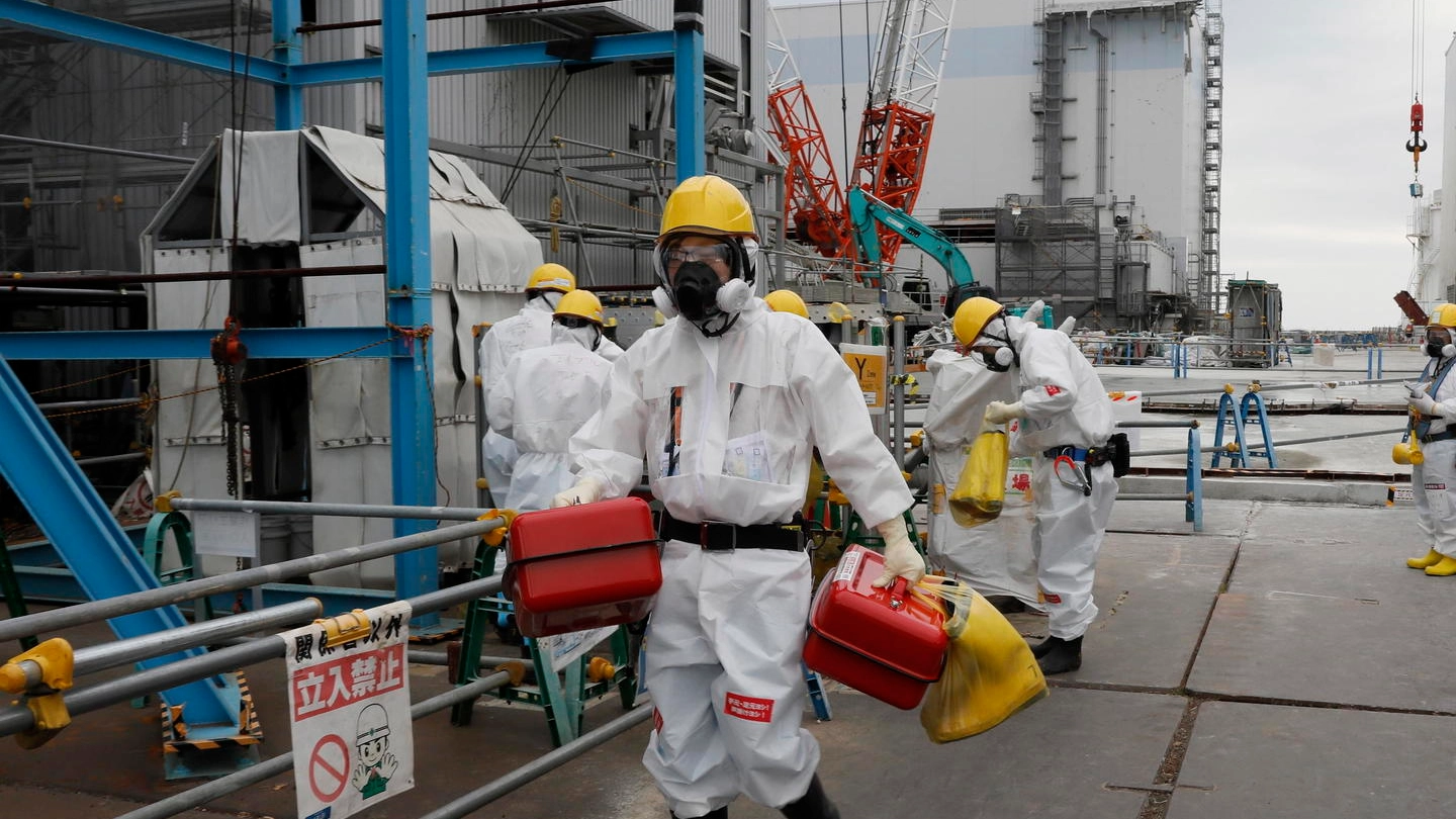 Fukushima, sostanze radioattive (Ansa)