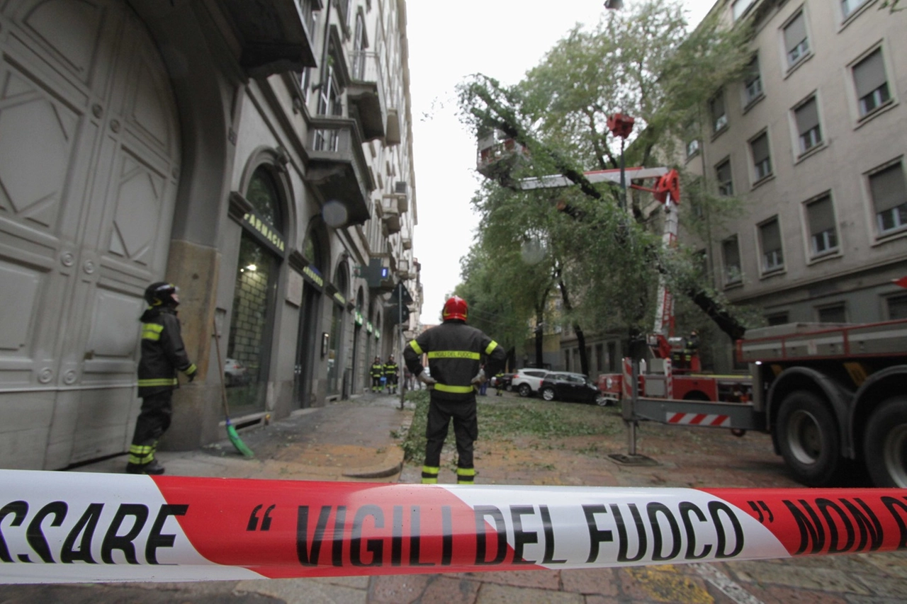immagine di sfondo 15