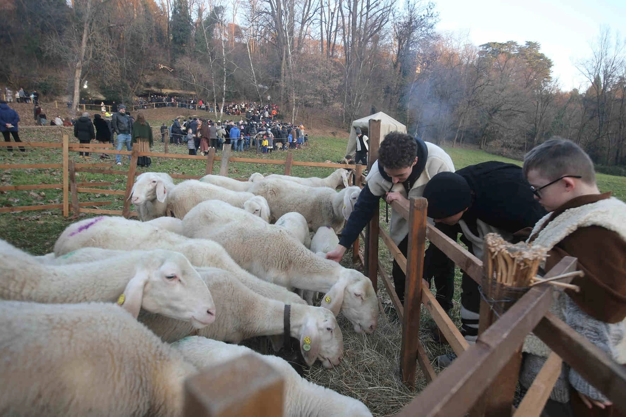 Fra i partecipanti anche tantissimi bambini (Radaelli)