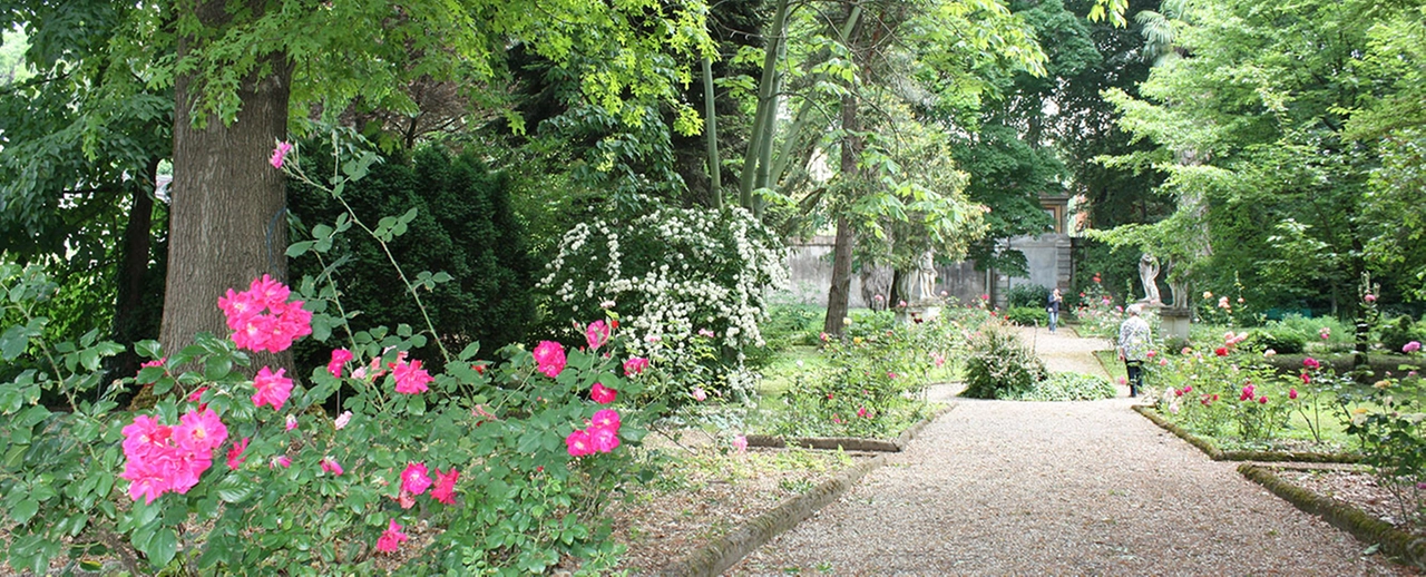 immagine di sfondo 9