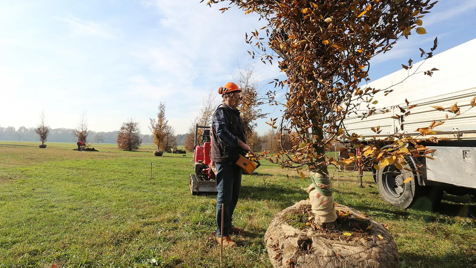 Seimila alberi in 5 anni Olmi, frassini e aceri tra Ascari e parabolica Seimila alberi in 5 anni Olmi, frassini e aceri tra Ascari e parabolica