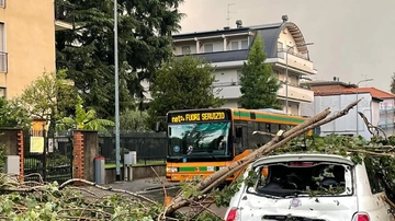 Emergenza Monza Palazzi scoperchiati e strage di alberi "Danni per milioni"